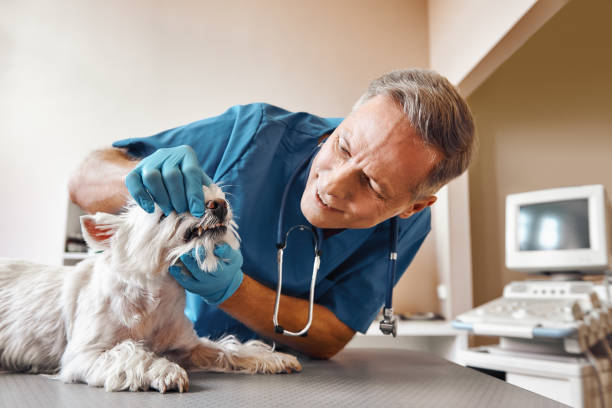 Best Emergency Tooth Extraction in Sunnyvale, TX